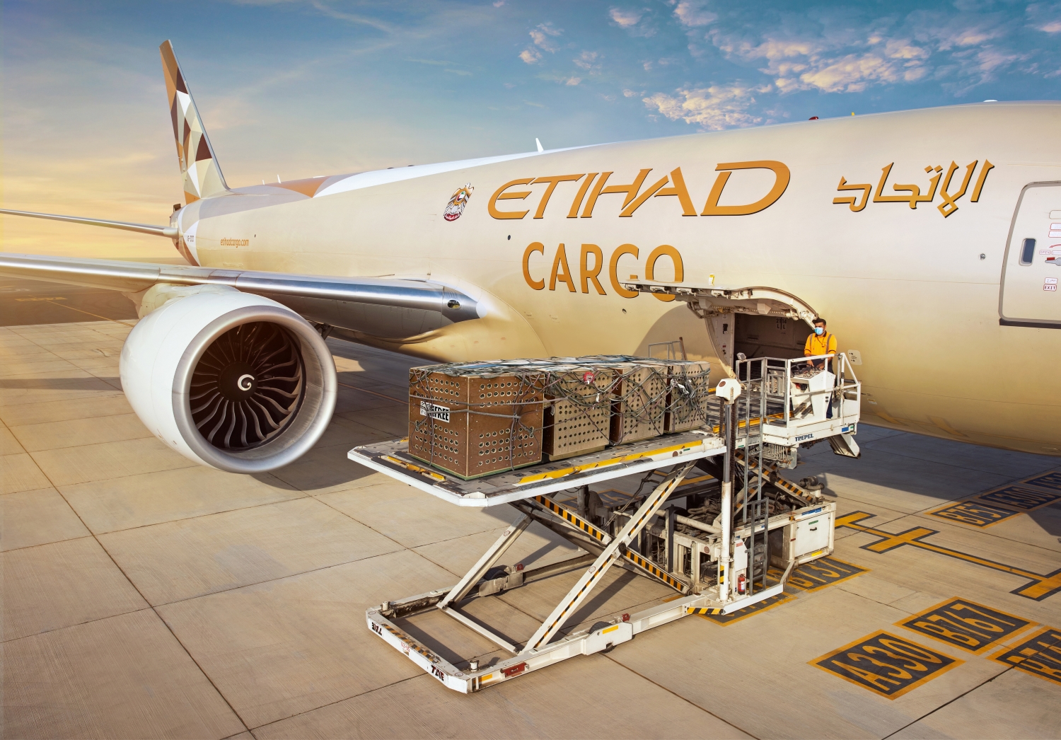 Freight & Cargo Service Providers in the Australian Market: What Are Your Options in 2021?