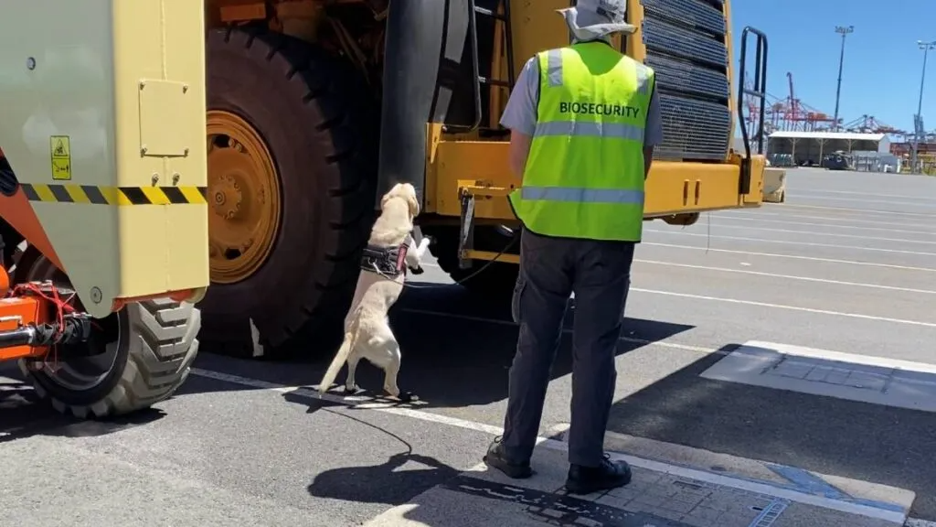 Biosecurity-Brisbane-1024x576