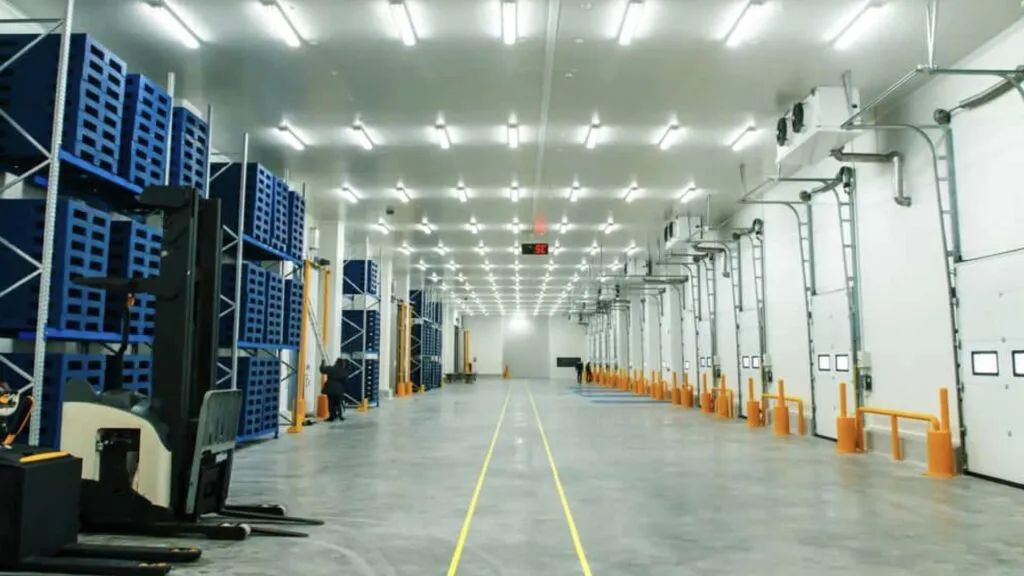 Refrigerated-warehouse-storage-1024x576